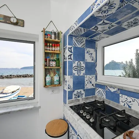 Vakantiehuis House Ischia